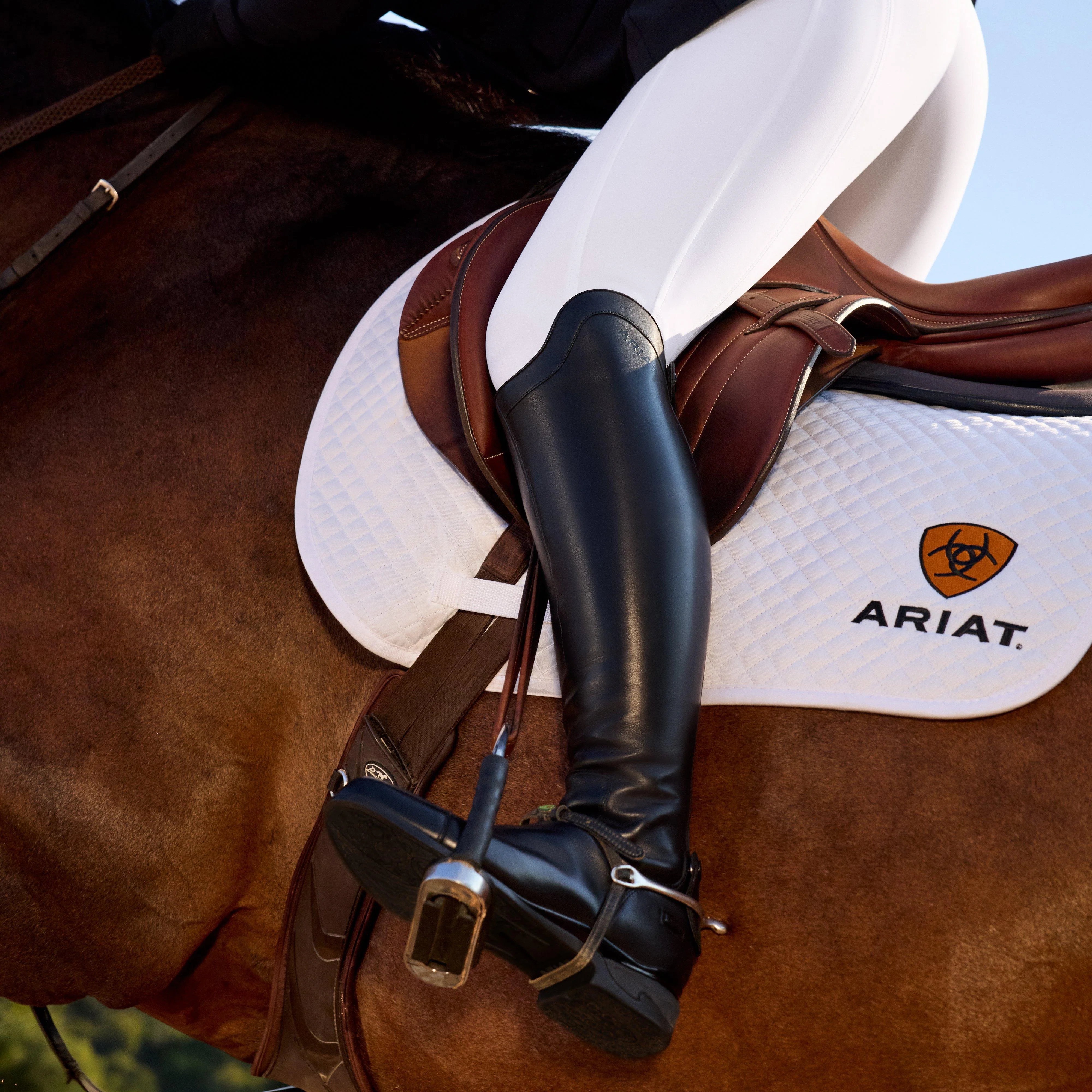 Women's Tri Factor NT Half Grip Breeches - Image 9